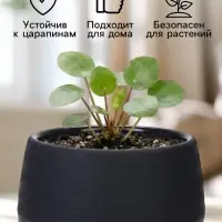 Горшок цветочный &laquo;Япония&raquo;, 2 л, d=18 см, h=15 см, пластиковый, с поддоном, графитовый