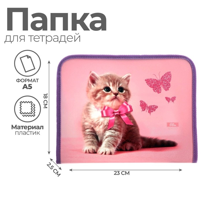 Папка для тетрадей А5, 180 х 230 х 25 мм, молния вокруг, пластиковая 0.5, ПМ-А5-04 Calligrata Папка для тетрадей А5, 180 х 230 х 25 мм, молния вокруг, пластиковая 0.5, ПМ-А5-04 Calligrata