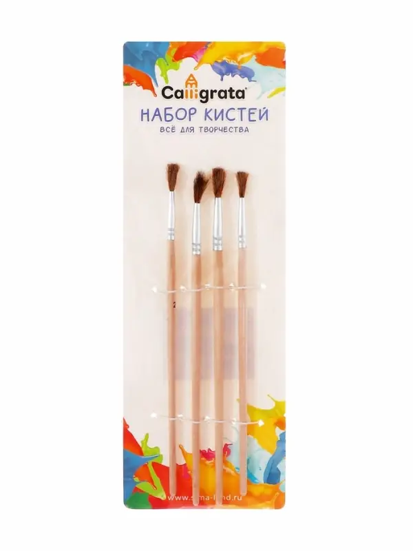 Набор кистей для рисования, пони, 4 штуки: № 2, 4, 6, 8, круглые, деревянная ручка, международный размер