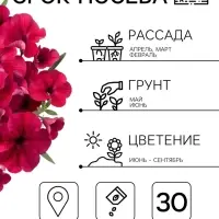 Семена цветов Петуния грандифлора &laquo;Аладдин&raquo; бордовая, 30 шт.