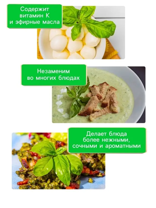 Семена Базилик &laquo;Зелёный ароматный&raquo;, 0.1 г, среднеранний, &laquo;Рецепты дедушки Никиты&raquo;