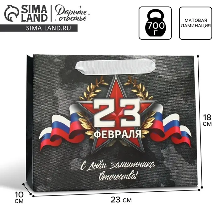 Пакет подарочный ламинированный, упаковка, &laquo;23 февраля&raquo;, MS 23&times;18&times;10 см