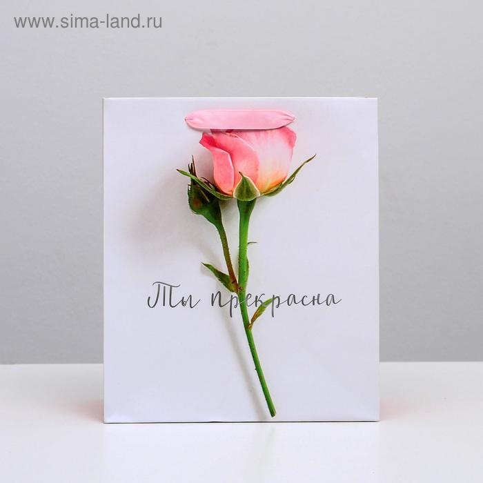 Пакет подарочный ламинированный вертикальный, упаковка, &laquo;Ты прекрасна&raquo;, ML 23 х 27 х 11,5 см