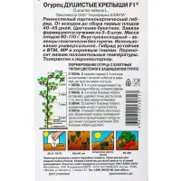 Набор семян Огурец раннеспелый, самоопыляемый, 3 пакета