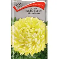 Семена цветов Астра пионовидная "Жёлтая башня", 0,3гр.