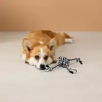 VETTA Игрушка для домашних животных, ПЭ, 35,5х7 см