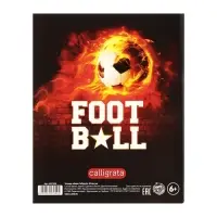 Набор предметных тетрадей Calligrata &laquo;Футбол&raquo;, 10 предметов, 48 листов, со справочным материалом, обложка из мелованного картона, блок офсет