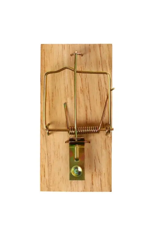 Мышеловка, 9.8×4.7 см, дерево, Greengo Мышеловка, 9.8×4.7 см, дерево, Greengo