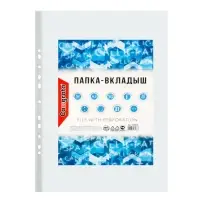 Файл - вкладыш Calligrata, А3, 30 мкм, глянцевый, вертикальный, 50 штук