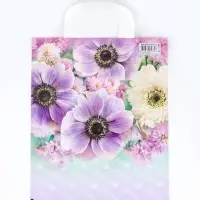 Пакет &laquo;Анемона&raquo;, полиэтиленовый с петлевой ручкой, 35&times;28 см, 55 мкм