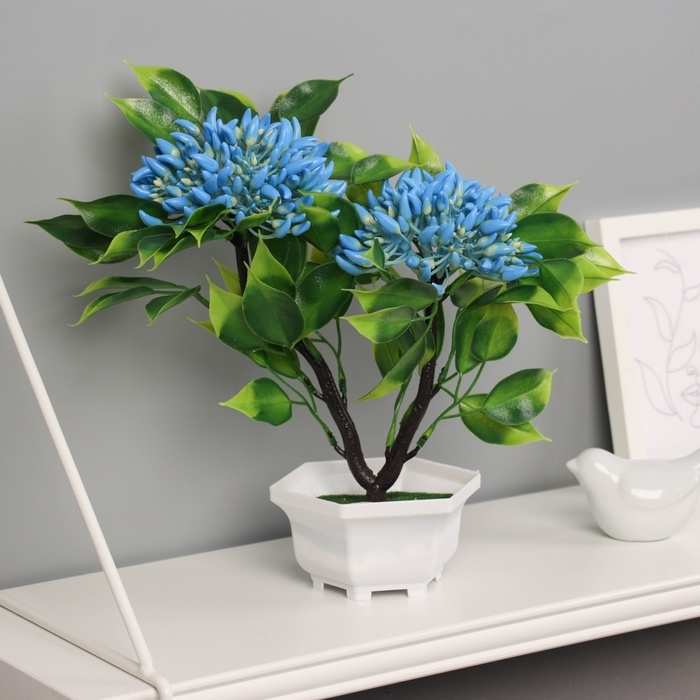 Бонсай в горшке Бонсай в горшке "Ашока комнатная" 23х11 см, микс