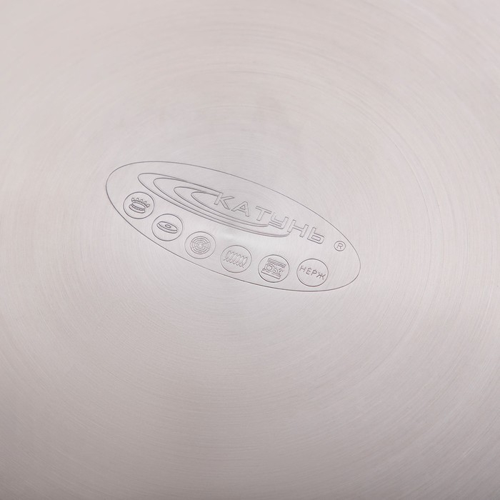 Кастрюля «Титан», 14.5 л, d=28 см, h=24 см, капсульное дно, индукция Кастрюля «Титан», 14.5 л, d=28 см, h=24 см, капсульное дно, индукция