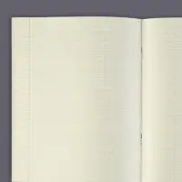Тетрадь предметная 48 листов в клетку Calligrata, «Чёрное-белое. География», обложка мелованная бумага, серые листы