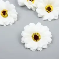 Бутон на ножке для декорирования «Хризантема-ромашка», d=5 см, белый Бутон на ножке для декорирования «Хризантема-ромашка», d=5 см, белый