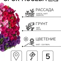Семена цветов Петуния &laquo;Нуволари&raquo;, полуампельная, смесь сортов, F1, 5 шт., Farao, &laquo;АЭЛИТА&raquo;
