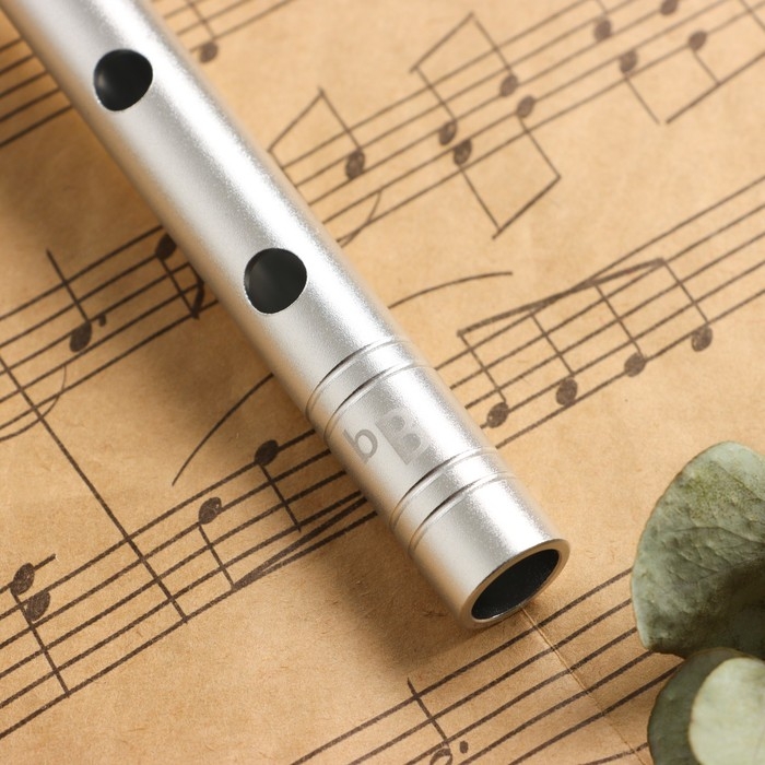 Флейта Music Life B, профи, серебристая, 37,5 см Флейта Music Life B, профи, серебристая, 37,5 см