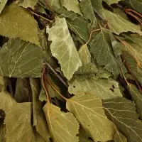 Веник для бани, берёзовый, 50 см, упаковка МИКС