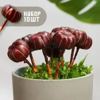 Топпер для творчества &laquo;Тыковка&raquo;, 10 шт., 4&times;2 см