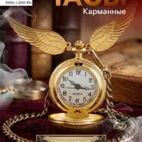 Часы карманные &laquo;Снитч&raquo;, кварцевые, d=2.7 см, на цепочке, золотистые