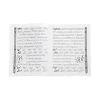 Тренажер по чистописанию. Русский язык, 3 класс, Субботина Е.А. 2026