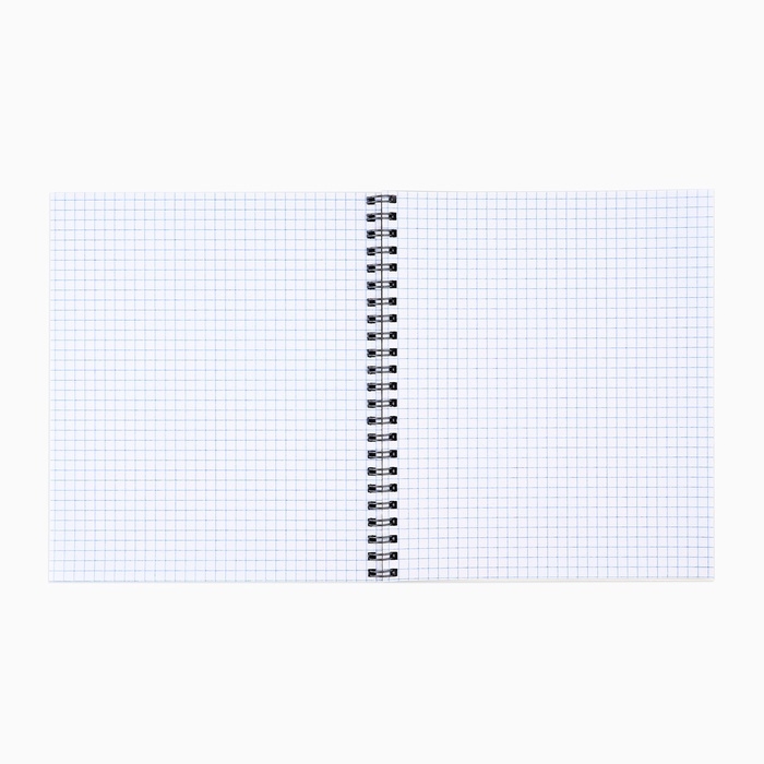 Тетрадь А5, 48 л на спирали, внутренний блок №1 МИКС «Уличные гонки» Тетрадь А5, 48 л на спирали, внутренний блок №1 МИКС «Уличные гонки»