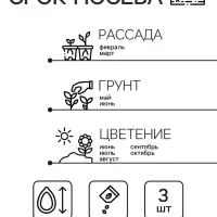 Семена цветов Пеларгония "Нано", ц/п,  "Розовая", ц/п,  3 шт