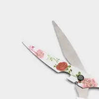 Ножницы кухонные с антиналипающим покрытием Доляна &laquo;Цветение&raquo;, 22 см, МИКС
