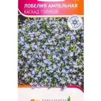 Семена Лобелия Ампельная Каскад Голубой 0,05 г Семена Лобелия Ампельная Каскад Голубой 0,05 г