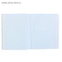 Тетрадь 48 листов в клетку "Кедомания", обложка мелованный картон, гибридный лак, МИКС Тетрадь 48 листов в клетку "Кедомания", обложка мелованный картон, гибридный лак, МИКС