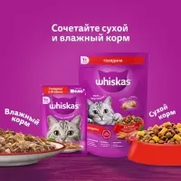 Влажный корм Whiskas для кошек, говядина/ягненок в желе, пауч, 75 г