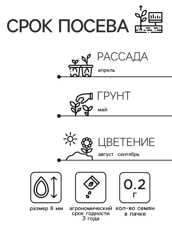 Семена цветов Астра &laquo;Монпансье&raquo;, серебристая, 0.2 г, однолетник, &laquo;Аэлита&raquo;