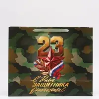 Пакет ламинированный &laquo;Мужской&raquo;, 49 &times; 40 &times; 19 см