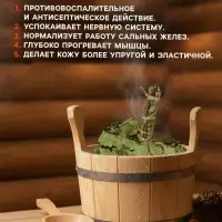 Веник для бани, дубовый, 45 см, с донником