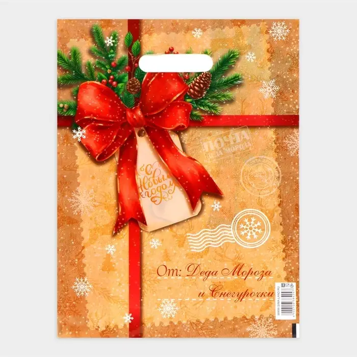 Пакет «Послание от деда мороза и снегурочки», полиэтиленовый с вырубной ручкой, 30×40 см Пакет «Послание от деда мороза и снегурочки», полиэтиленовый с вырубной ручкой, 30×40 см