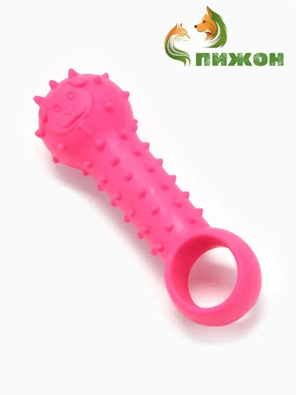 Игрушка-дразнилка для собак &laquo;Поймай меня!&raquo;, 9.5 см, TPR, розовая