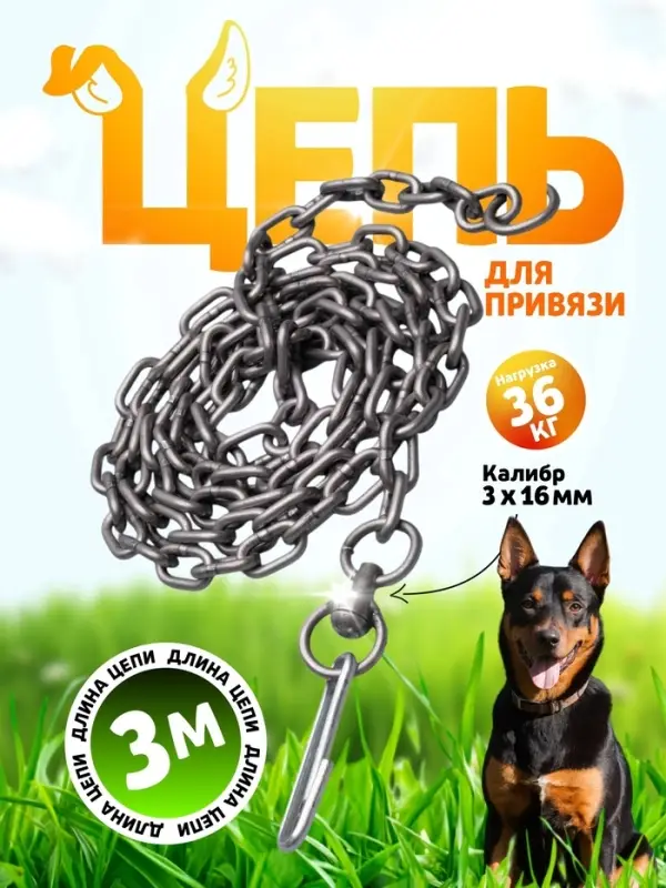 Цепь для привязи собак, 3 м, калибр 3&times;16 мм, черная