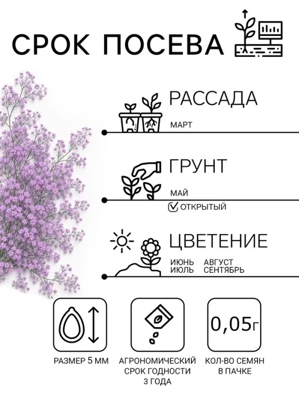 Семена цветов Гвоздика многолетняя лавандовая, 0,05 г