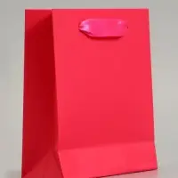 Пакет подарочный ламинированный, упаковка, &laquo;Фуксия&raquo;, S 12&times;15&times;5.5 см
