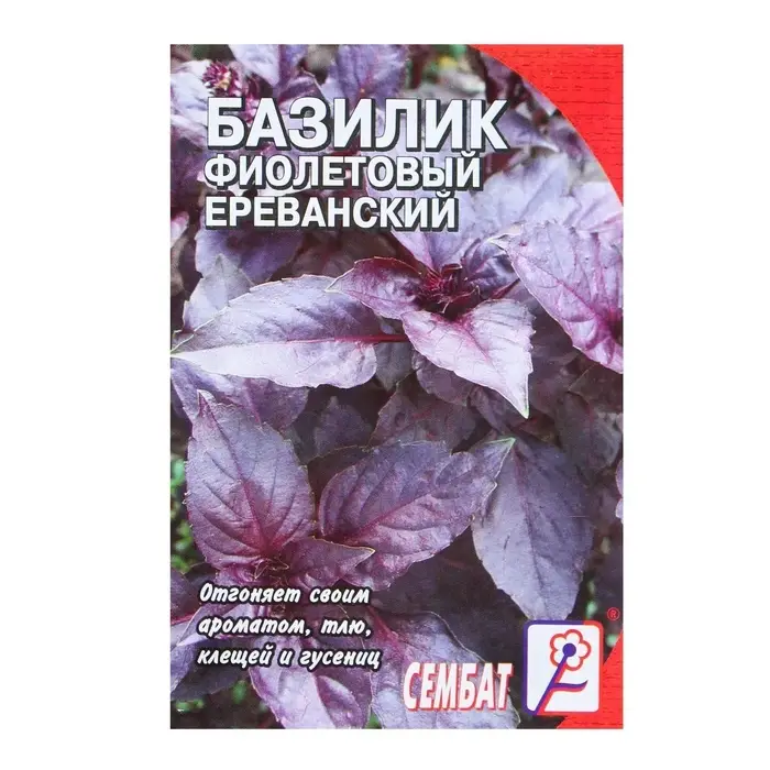 Семена Базилик фиолетовый &laquo;Ереванский&raquo;, 0.2 г, &laquo;Сембат&raquo;