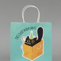 Пакет подарочный &laquo;Поздравляю&raquo;, 22 х 22 х 11 см