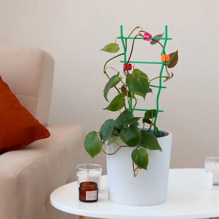 Клипса для растений, набор 10 шт., МИКС, Greengo
