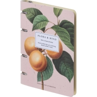 Тетрадь общая, BS, А5, 120л., клетка, кольца, Flora, персики N4236