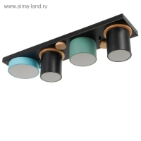 Светильник 35428/4 LED 36Вт 3000-6000К черный-зеленый-синий 65х15х15 см BayerLux