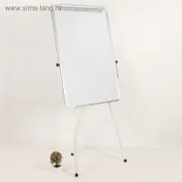 Флипчарт магнитно-маркерный, Calligrata, регулировка высоты, 60&times;90 см