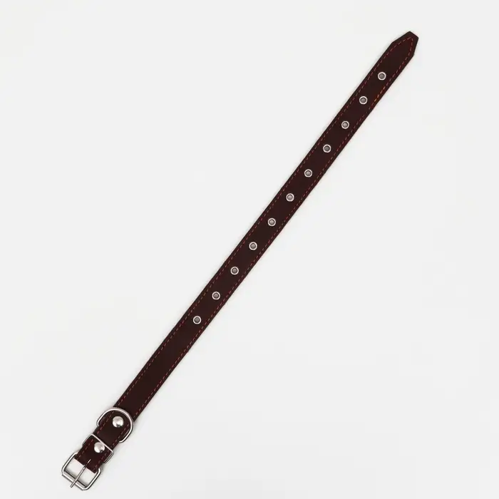 Ошейник кожаный на синтепоне, безразмерный, 65&times;3 см, ОШ 22-55 см, коричневый