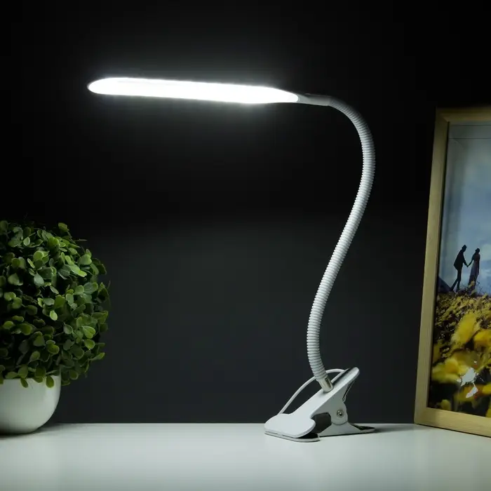 Лампа настольная RISALUX &laquo;Офисный белый&raquo;, светодиодная, на прищепке, от USB, 11&times;7.5&times;60.5 см