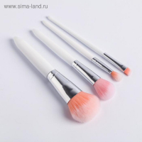 Подарочный набор «С 8 Марта», кисти для макияжа 4 шт и расческа, BEAUTY FOX
