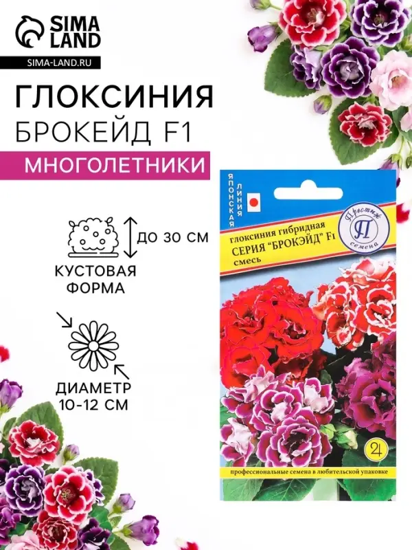 Семена цветов Глоксиния &laquo;Брокэйд&raquo;, F1, 5 шт., &laquo;Престиж семена&raquo;
