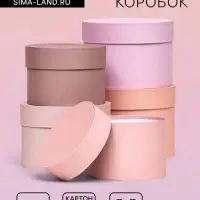 Набор шляпных подарочных коробок 5 в 1 &laquo;Крема&raquo; 20&times;14.5, 14&times;10 см