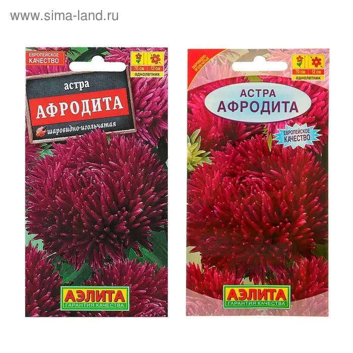 Семена цветов Астра Семена цветов Астра "Афродита", О, 0,1 г
